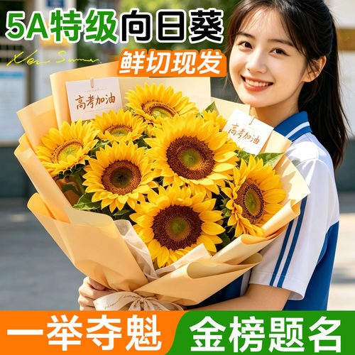 【顺丰包邮】一举夺魁向日葵鲜花
