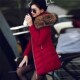 Winter Down Jacket Parkas Ladies Female Women Coat Jackets