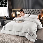 Down Quilt Alternative Hotel Quilted Comforter Duvet Blanket