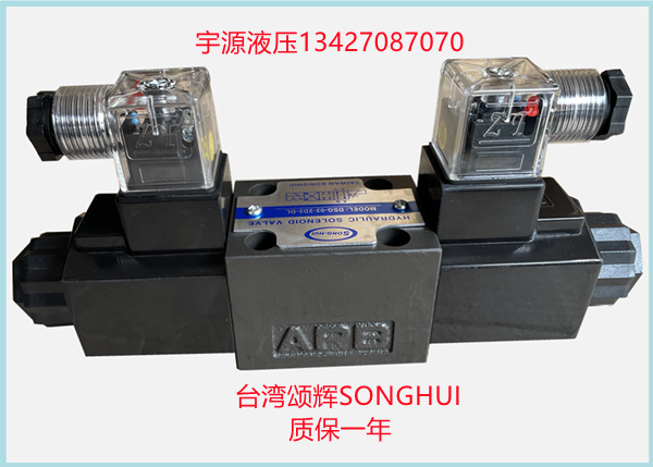 SONGHUI台湾DSG-02-2D2-DL液压电磁阀DSG-02-2D2-LW AC220V  D24V