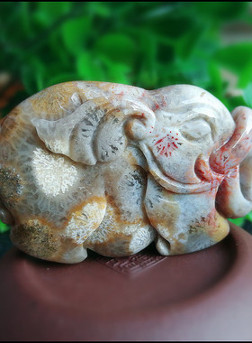 天然珊瑚玉雕刻小象吊坠