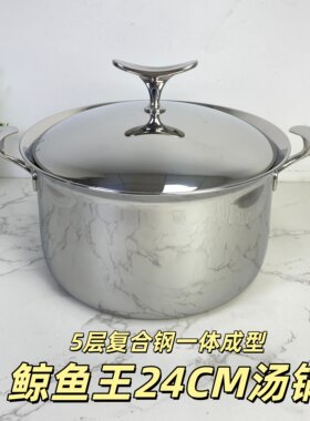 LUCUKU鲸鱼王轻奢304不锈钢五层一体双耳家用汤锅加厚炖焖锅24cm