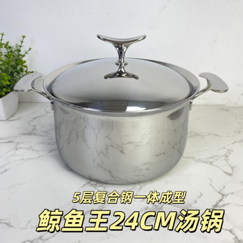 LUCUKU鲸鱼王轻奢304不锈钢五层一体双耳家用汤锅加厚炖焖锅24cm