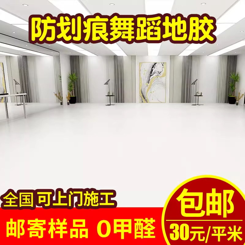 专业pvc舞蹈房地胶幼儿园室内健身房私教芭蕾街舞儿童体适能地胶