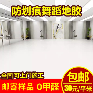 专业pvc舞蹈房地胶幼儿园室内健身房私教芭蕾街舞儿童体适能地胶
