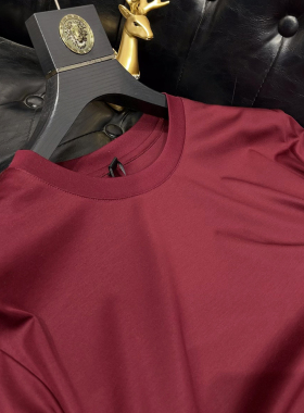 真冰蚕丝T恤圆领男短袖丝滑料凉感天丝光棉红色中青年打底衫高端