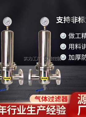 定制压缩空气过滤器304不