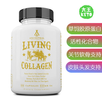 AncestralSupplements胶原蛋白