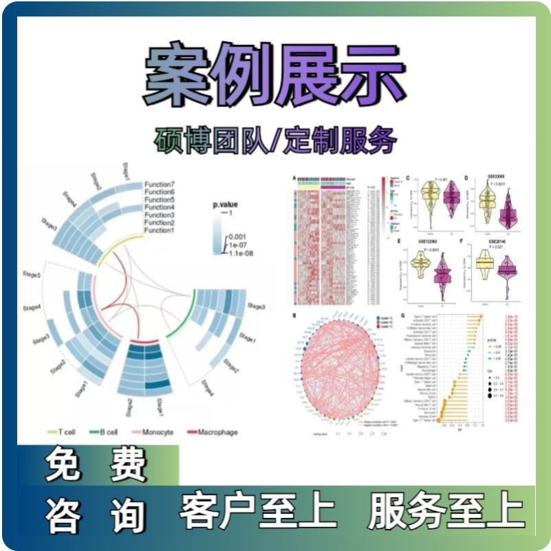 生信分析单细胞转录组geo数据库挖掘测序分析网络药理分子对接