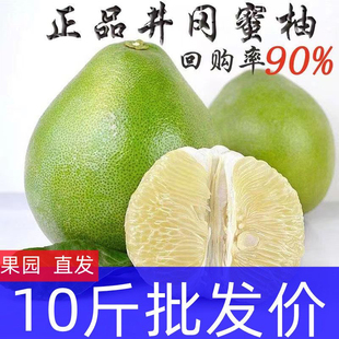 江西柚子井冈蜜柚金沙柚吉水白心柚孕妇水果青皮小柚子纯甜不酸10