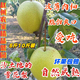包邮 赵县雪花梨新鲜水果5斤9斤河北特产古树精品雪梨当季 现摘现发