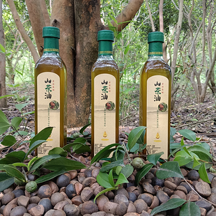 正宗农村土货头道初榨野生茶油纯茶油无添加土茶油婴儿宝宝茶籽油