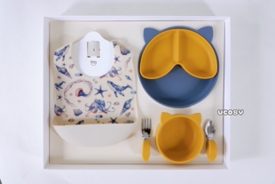 Qlittle儿童餐具套装宝宝辅食餐盘分格碗叉勺围兜硅胶五件套礼盒