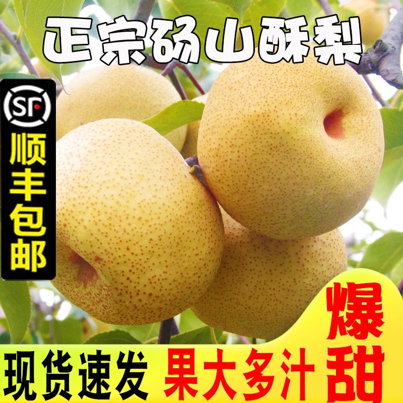 砀山梨新鲜梨子安徽正宗砀山梨砀山酥梨汤山梨新鲜整箱顺丰包邮