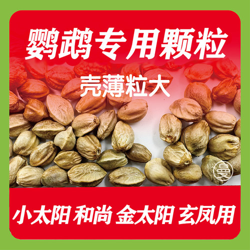 纸壳麻子鹦鹉粮和尚小太阳训练零食火麻子鸟粮饲料牡丹玄凤新麻子