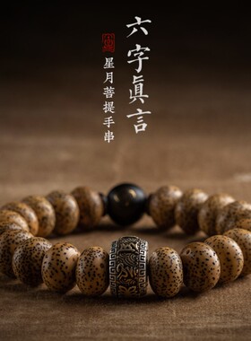 正宗海南星月菩提子六字真言生肖本命佛陈籽手串盘玩文玩手链佛珠