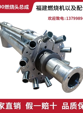 利雅路燃烧机RS190  RS250 燃烧头总成 燃烧枪 RIELLO 燃烧机配件
