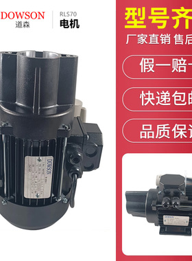 利雅路燃烧机器进口油泵电机RLS70/100/130/250道森电机马达220V