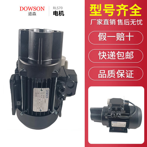 利雅路燃烧机器进口油泵电机RLS70/100/130/250道森电机马达220V