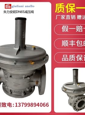 朱利安尼ST1B65调压阀 ST1B80 ST1B100 ST1B125燃气稳压器减压阀