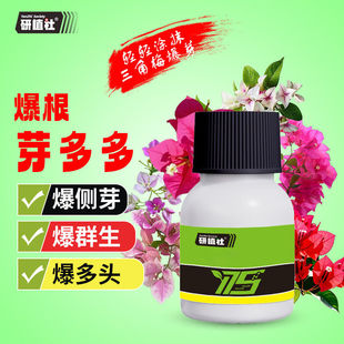 研植社爆根芽多多生根壮根催芽培养多头优芽素花三角梅促芽叶面肥