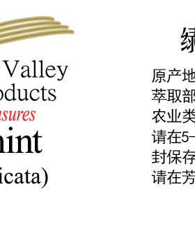 美国AVAT天然绿薄荷单方精油 留兰香矛薄荷 香薰芳疗缓解不适