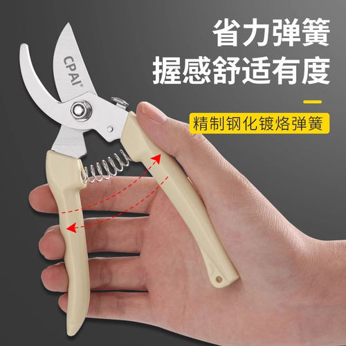 剪刀修枝剪果树园艺剪园林枝剪花剪修枝剪修剪树枝专用剪刀
