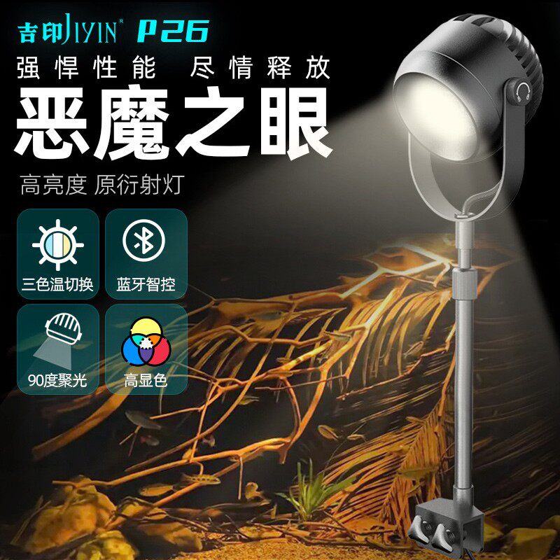 吉印恶魔之眼南美鱼缸射灯观赏鱼图片