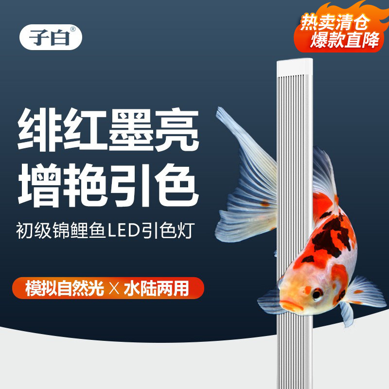 子白锦鲤鱼专用灯鱼缸led防水增艳发色引色专业照明水族箱锦鲤灯在类目 宠物/宠物食品及用品, 水族世界, 鱼缸等水族设备, 照明器材中 - 来自Buy2taobao.com提供专业的淘宝代购服务