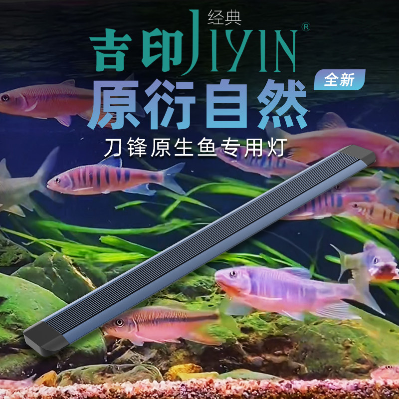 吉印刀锋专业原生溪流缸鱼缸灯图片