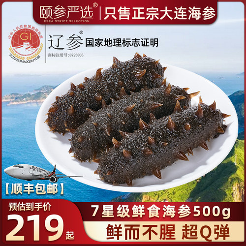 大连深海鲜捕鲜食海参高营养辽参