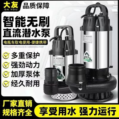 大友牌不锈钢全铜无刷直流潜水泵