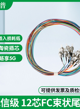 电信级FC12芯束状尾纤FC尾纤 ODF光交箱FC束状纤熔纤 集束尾纤跳线 单头尾纤