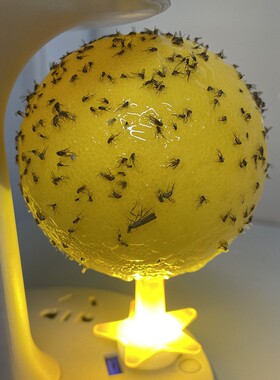 发光底座诱蝇球粘虫球果蝇苍蝇去除小飞虫诱捕器室内黄色灭虫灯