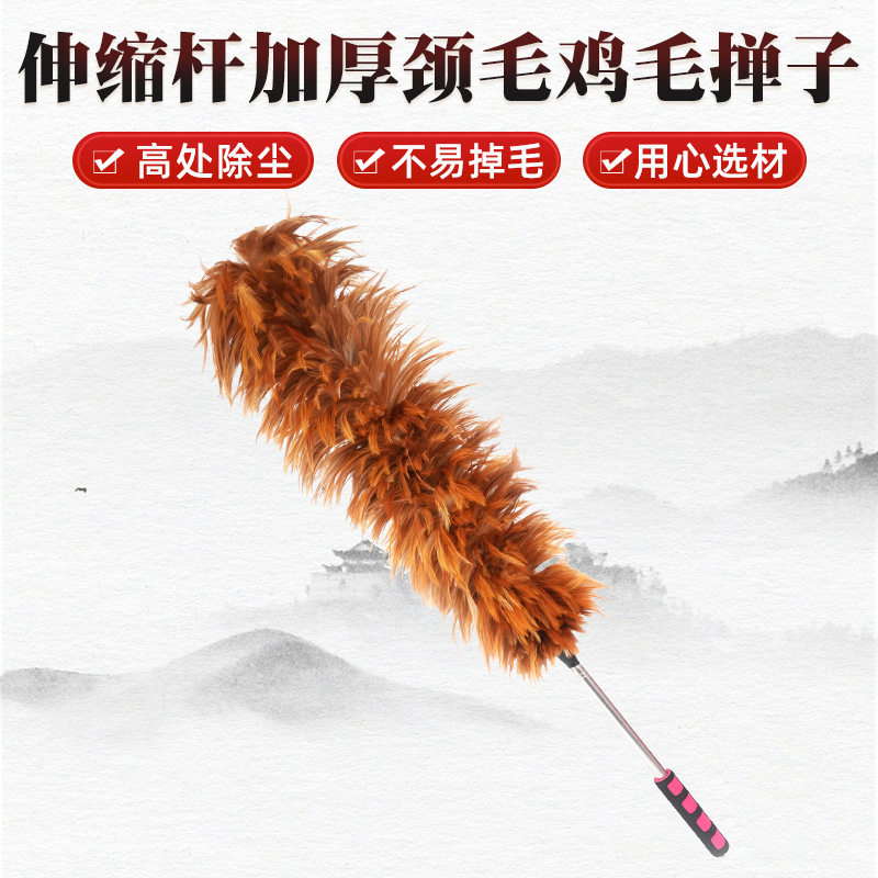 伸缩杆加厚颈毛鸡毛掸子清洁家用除尘掸鸡毛掸子汽车桌面除尘掸,家庭/个人清洁工具,除尘掸,淘宝优惠券,粉丝福利购,淘宝优惠卷
