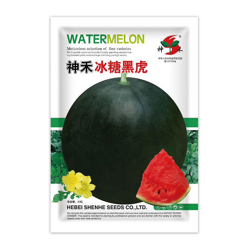 冰糖黑虎黑皮西瓜种子脆甜薄皮