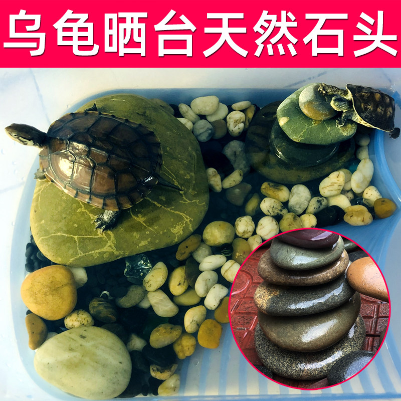 鱼缸造景石乌龟晒台天然鹅卵石扁平石头爬宠大乌龟爬台浮岛晒背台