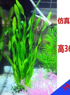 仿真水草大款海带深海海藻水草绿橙色仿真北美水兰鱼缸造景软草