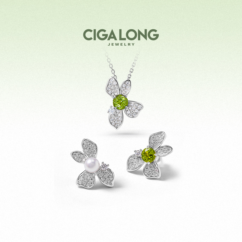 ʦCIGALONG¹ʯƷ鱦790Ԫ