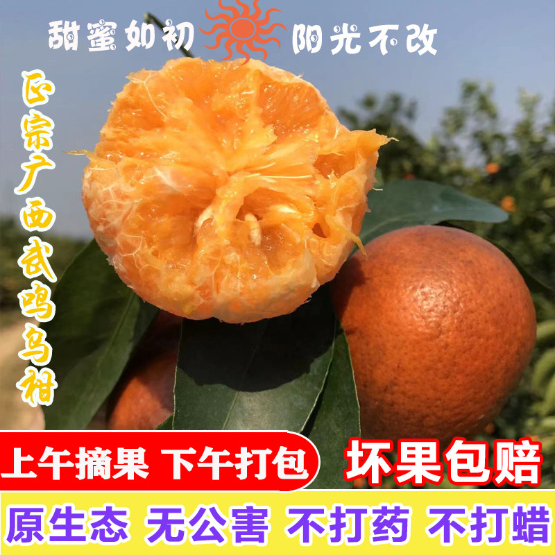 正宗广西武鸣黑皮花皮沃柑乌柑新鲜水果当季沃柑蜜桔丑桔子脏脏柑,水产肉类/新鲜蔬果/熟食,桔子,淘宝优惠券,粉丝福利购,淘宝优惠卷