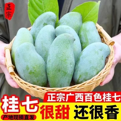 广西正宗百色田东桂七芒果当季新鲜水果青皮芒香芒中果5斤9斤整箱