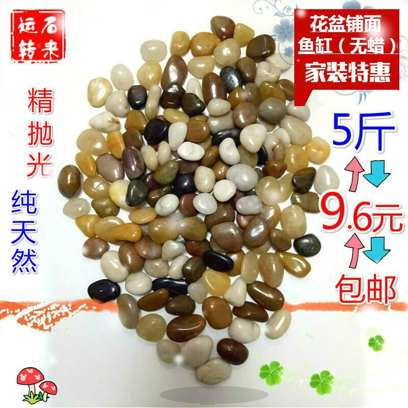 5斤装雨花石天然鹅卵石石头铺地彩色鹅软石鱼缸园林花盆铺面石|msdalam kategori penghantaran bunga/bunga simulasi/tumbuhan berkebun, Gardening Supplies, Peralatan Perkebunan lain - dari Buy2taobao.com untuk memberikan perkhidmatan ejen Taobao profesional membeli