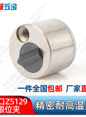 注塑料模具德国STRACK标准行位固定器滑块限位夹Z5129-/13/18/27