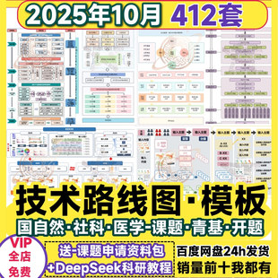 技术路线图模板国自然Word生物医学PPT可编辑visio版 框架图流程图