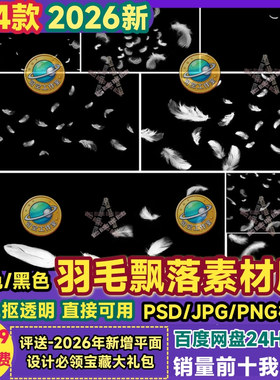 白色羽毛素材黑色绒毛梦幻散落飘落视频后期剪辑png免抠PSD图案库