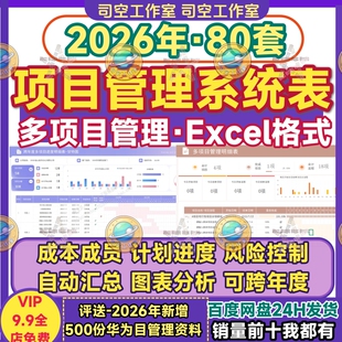 项目管理excel系统 多项目集群进度计划成本风险控制成员分析图表