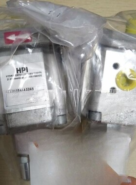 供应法国 进口HPI 油泵 P1 CBN 1006 CW 20 C01 N