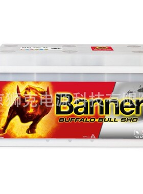 Banner蓄电池SHD 670 33 12V170AH CCA1000重型汽车启动电池