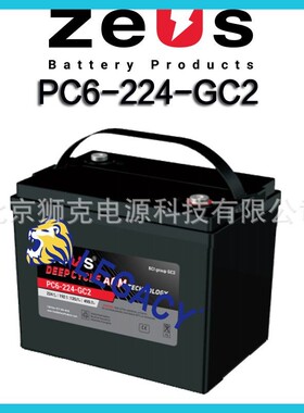 英国ZEUS蓄电池PC6-224-GC2 6V224AH洗地机 高尔夫球车电瓶 原装
