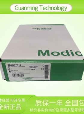 TSXCPP110 模块 PLC 法国 SCNEIDER PCMCIA卡 可编程逻辑控制器